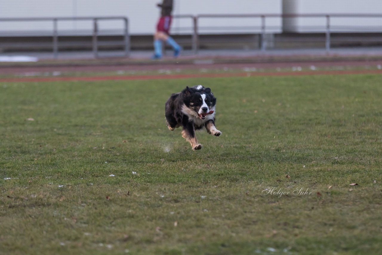 Bild 87 - Hundeshooting